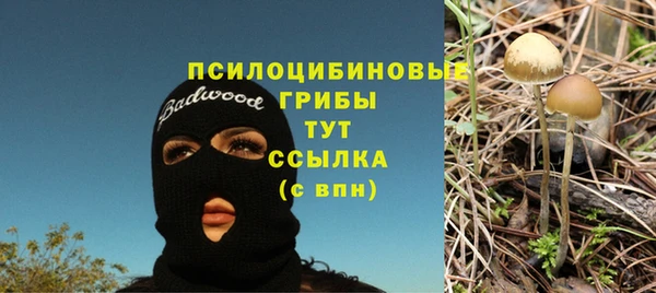 молекула духа Армянск