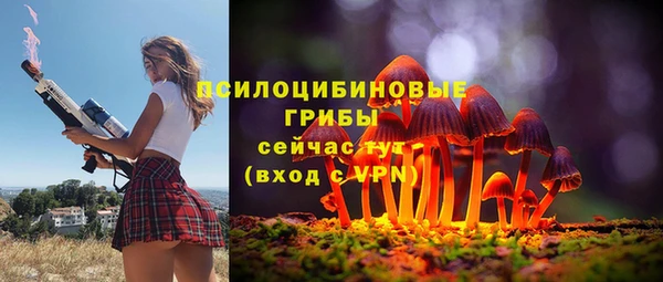 МДПВ Алексин